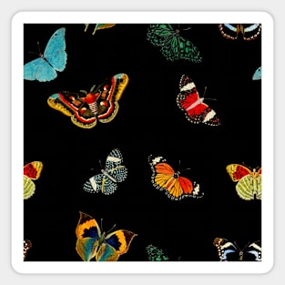 Butterfly pattern Magnet